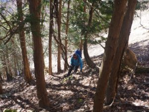 南アルプス深南部・水窪『白倉山から平森山』