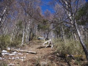 南アルプス深南部・水窪『白倉山から平森山』