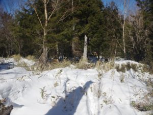 南アルプス深南部・水窪『白倉山から平森山』