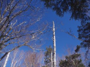 南アルプス深南部・水窪『白倉山から平森山』