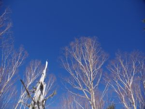 南アルプス深南部・水窪『白倉山から平森山』