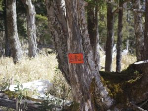 南アルプス深南部・水窪『白倉山から平森山』