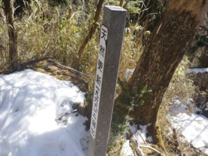 南アルプス深南部・水窪『白倉山から平森山』