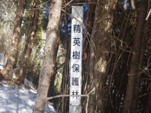 南アルプス深南部・水窪『白倉山から平森山』