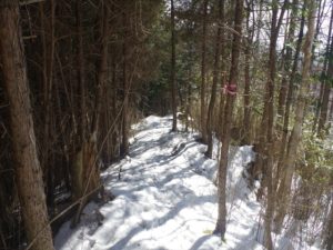 南アルプス深南部・水窪『白倉山から平森山』