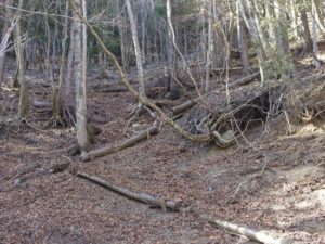 南アルプス深南部・水窪『白倉山から平森山』