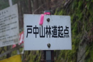 南アルプス深南部・水窪エリア『バラ谷の頭』