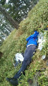南アルプス深南部、黒沢山、激藪漕ぎの山