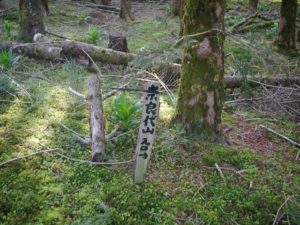 南アルプス深南部、黒沢山、激藪漕ぎの山