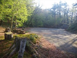 南アルプス深南部、黒沢山、激藪漕ぎの山