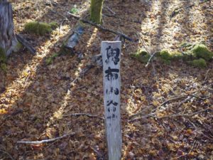 南アルプス深南部、黒沢山、激藪漕ぎの山