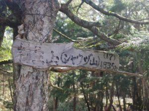 南アルプス深南部、黒沢山、激藪漕ぎの山