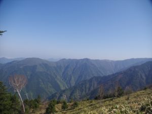 南アルプス深南部、黒沢山、激藪漕ぎの山