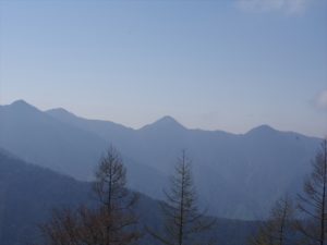 南アルプス深南部、黒沢山、激藪漕ぎの山