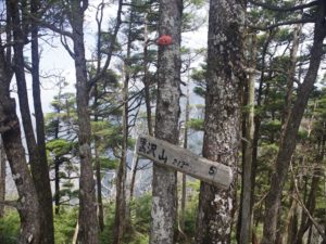 南アルプス深南部、黒沢山、激藪漕ぎの山