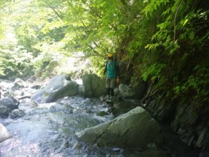 安倍奥の山伏岳に西日影沢ルートから登山