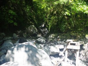 安倍奥の山伏岳に西日影沢ルートから登山