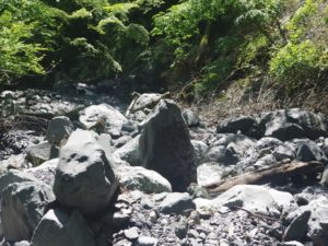 安倍奥の山伏岳に西日影沢ルートから登山