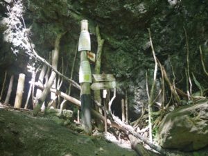 安倍奥の山伏岳に西日影沢ルートから登山