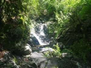 安倍奥の山伏岳に西日影沢ルートから登山