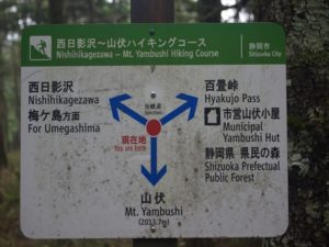 安倍奥の山伏岳に西日影沢ルートから登山