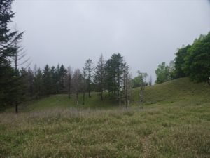 安倍奥の山伏岳に西日影沢ルートから登山