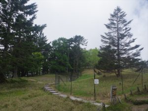 安倍奥の山伏岳に西日影沢ルートから登山