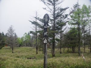 安倍奥の山伏岳に西日影沢ルートから登山