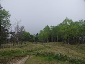 安倍奥の山伏岳に西日影沢ルートから登山