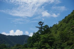 南アルプス深南部で「FREE LIGHT（フリーライト）のオーナー高橋氏」と、 「outdoorstore nero（アウトドアストア・ネロ）のオーナー大武氏」が、 参加してくれる、恒例の夏の大冒険。キレイなヤマトイワナが釣れました。