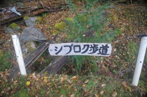 南アルプス深南部『鹿ノ平から不動岳』