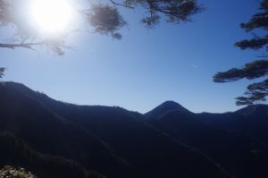 南アルプス深南部『鹿ノ平から不動岳』