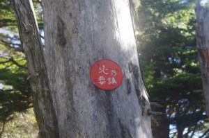 南アルプス深南部『鹿ノ平から不動岳』