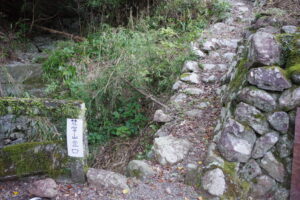 南アルプス深南部・前衛『ボンジ山～京丸山』